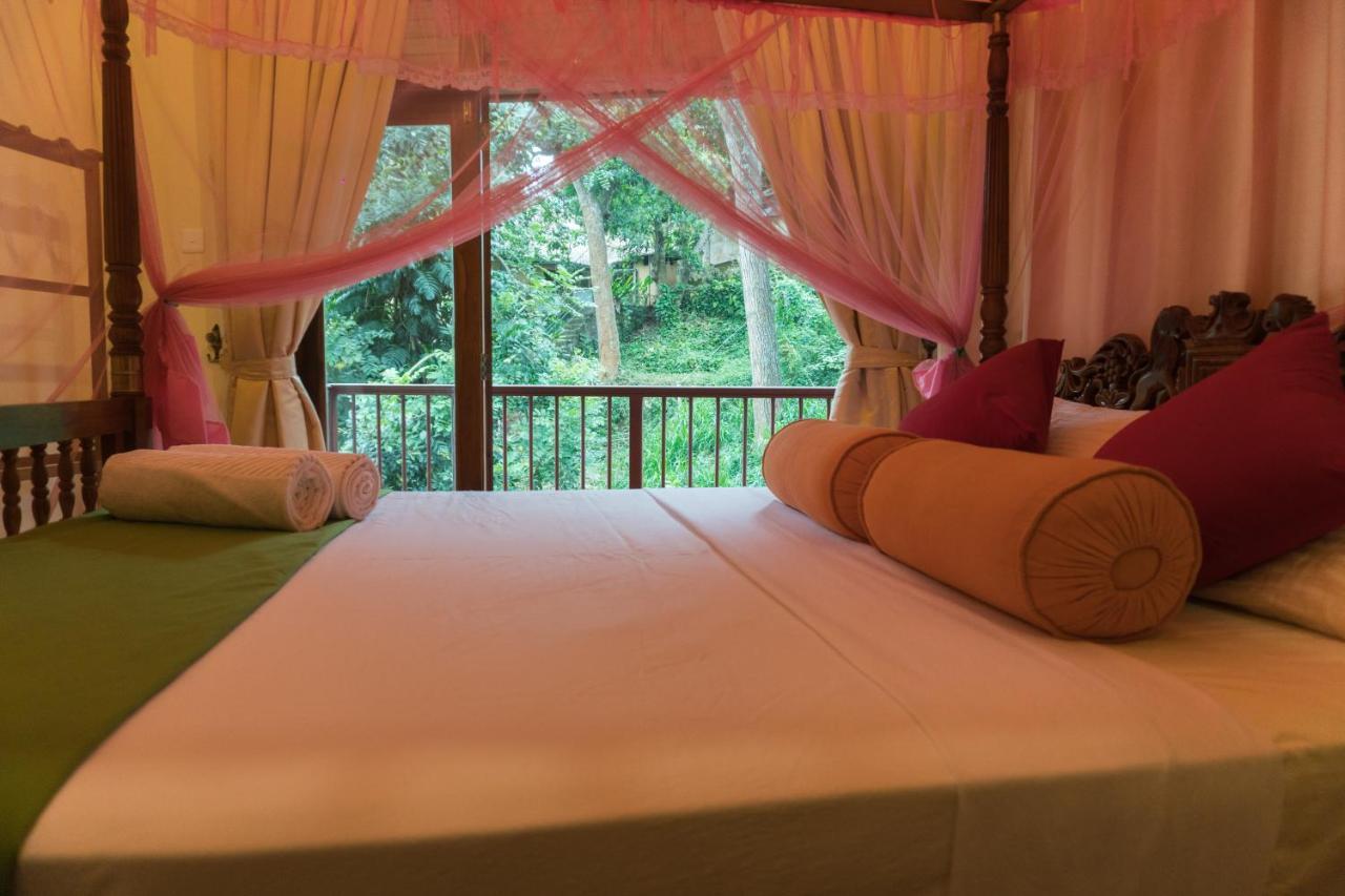 Aronka Homestay 캔디 외부 사진